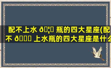 配不上水 🦊 瓶的四大星座(配不 🐋 上水瓶的四大星座是什么)